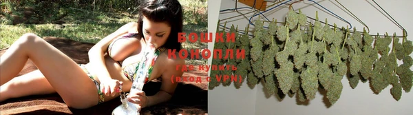 гидропоника Абаза