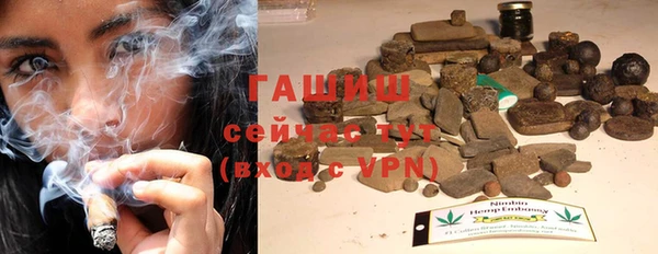 шишки Ельня
