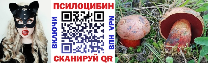 Галлюциногенные грибы мицелий как найти закладки Уржум