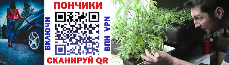 наркотики Уржум Марихуана Amnesia